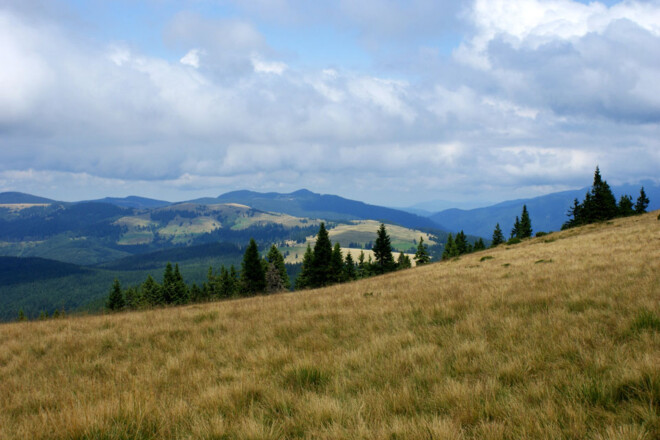 Stana de Vale